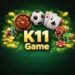 K11 Game
