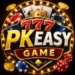 PKEASY Game